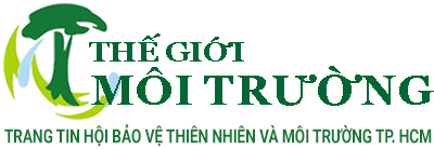 Thế giới môi trường