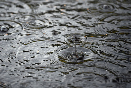 nước mưa có chứa nhựa