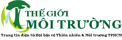 Thế giới môi trường