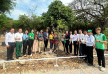 Chung tay trồng cây, xây dựng đô thị xanh – sạch – đẹp: Lan tỏa tinh thần Tết trồng cây “Đời đời nhớ ơn Bác Hồ”